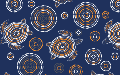 Healing Country: About Our Indigenous Resource Student Bursary